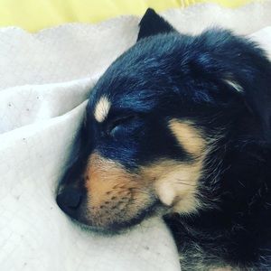 Meet your Posher, Rochelle